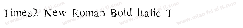 Times2 New Roman Bold ltalic Turkce字体转换